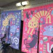 ヒメ日記 2026/01/27 17:46 投稿 遠藤　さら プルプル人妻専門店