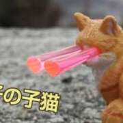 ヒメ日記 2026/02/19 17:03 投稿 遠藤　さら プルプル人妻専門店