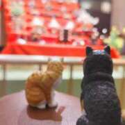 ヒメ日記 2026/02/21 17:34 投稿 遠藤　さら プルプル人妻専門店