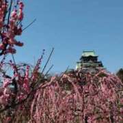 ヒメ日記 2026/02/22 14:50 投稿 遠藤　さら プルプル人妻専門店