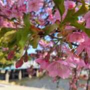 ヒメ日記 2026/03/02 09:33 投稿 遠藤　さら プルプル人妻専門店