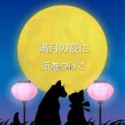 ヒメ日記 2026/03/03 05:27 投稿 遠藤　さら プルプル人妻専門店