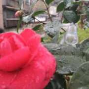 ヒメ日記 2026/03/03 16:35 投稿 遠藤　さら プルプル人妻専門店