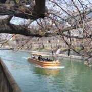 ヒメ日記 2026/03/24 13:08 投稿 遠藤　さら プルプル人妻専門店