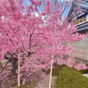 ヒメ日記 2026/03/28 12:07 投稿 遠藤　さら プルプル人妻専門店