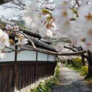 ヒメ日記 2026/03/28 22:46 投稿 遠藤　さら プルプル人妻専門店