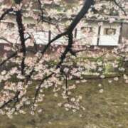 ヒメ日記 2026/03/31 16:47 投稿 遠藤　さら プルプル人妻専門店