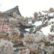 ヒメ日記 2026/04/03 12:39 投稿 遠藤　さら プルプル人妻専門店