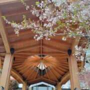 ヒメ日記 2026/04/06 16:47 投稿 遠藤　さら プルプル人妻専門店