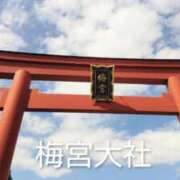 ヒメ日記 2026/04/18 14:55 投稿 遠藤　さら プルプル人妻専門店