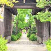 ヒメ日記 2026/04/21 11:45 投稿 遠藤　さら プルプル人妻専門店