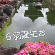 ヒメ日記 2026/05/23 17:37 投稿 遠藤　さら プルプル人妻専門店