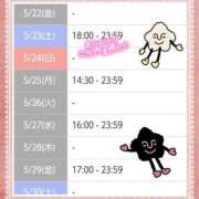 ヒメ日記 2026/05/23 23:49 投稿 遠藤　さら プルプル人妻専門店