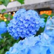 ヒメ日記 2026/05/28 20:54 投稿 遠藤　さら プルプル人妻専門店