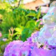 ヒメ日記 2026/05/29 16:30 投稿 遠藤　さら プルプル人妻専門店