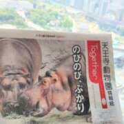 ヒメ日記 2026/07/19 05:59 投稿 遠藤　さら プルプル人妻専門店