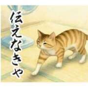 ヒメ日記 2026/08/14 20:26 投稿 遠藤　さら プルプル人妻専門店