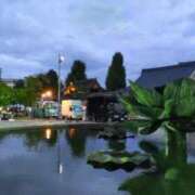 ヒメ日記 2026/08/15 19:06 投稿 遠藤　さら プルプル人妻専門店