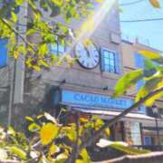 ヒメ日記 2026/10/01 11:05 投稿 遠藤　さら プルプル人妻専門店