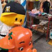 ヒメ日記 2026/10/02 19:16 投稿 遠藤　さら プルプル人妻専門店