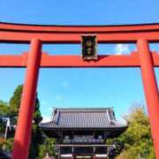 ヒメ日記 2026/10/06 15:54 投稿 遠藤　さら プルプル人妻専門店
