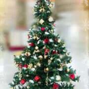 ヒメ日記 2024/12/05 12:59 投稿 斎藤　ひろみ プルプル人妻専門店