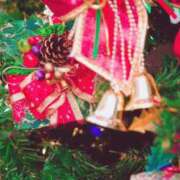 ヒメ日記 2024/12/25 00:50 投稿 斎藤　ひろみ プルプル人妻専門店