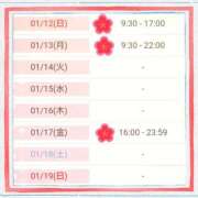 ヒメ日記 2025/01/11 23:10 投稿 斎藤　ひろみ プルプル人妻専門店