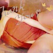 ヒメ日記 2025/02/24 14:54 投稿 斎藤　ひろみ プルプル人妻専門店