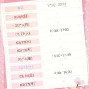 ヒメ日記 2025/03/08 08:27 投稿 斎藤　ひろみ プルプル人妻専門店