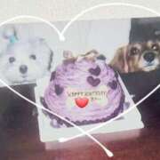 ヒメ日記 2025/03/22 21:44 投稿 斎藤　ひろみ プルプル人妻専門店