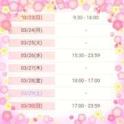 ヒメ日記 2025/03/22 23:17 投稿 斎藤　ひろみ プルプル人妻専門店