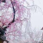 ヒメ日記 2025/04/06 00:59 投稿 斎藤　ひろみ プルプル人妻専門店