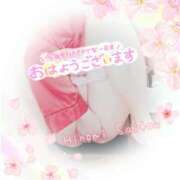 ヒメ日記 2025/04/06 10:47 投稿 斎藤　ひろみ プルプル人妻専門店