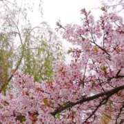 ヒメ日記 2025/04/12 22:47 投稿 斎藤　ひろみ プルプル人妻専門店