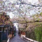 ヒメ日記 2025/04/18 08:46 投稿 斎藤　ひろみ プルプル人妻専門店