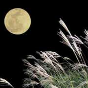 ヒメ日記 2025/10/05 20:26 投稿 斎藤　ひろみ プルプル人妻専門店