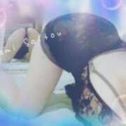 ヒメ日記 2025/10/24 14:34 投稿 斎藤　ひろみ プルプル人妻専門店