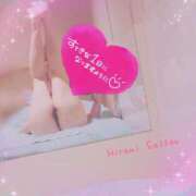 ヒメ日記 2025/11/20 13:04 投稿 斎藤　ひろみ プルプル人妻専門店