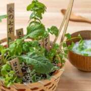 ヒメ日記 2026/01/07 09:28 投稿 斎藤　ひろみ プルプル人妻専門店