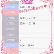 ヒメ日記 2026/02/20 14:37 投稿 斎藤　ひろみ プルプル人妻専門店