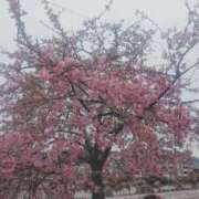 ヒメ日記 2026/02/27 21:46 投稿 斎藤　ひろみ プルプル人妻専門店