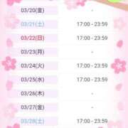 ヒメ日記 2026/03/19 19:26 投稿 斎藤　ひろみ プルプル人妻専門店