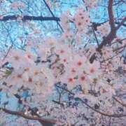 ヒメ日記 2026/04/01 15:22 投稿 斎藤　ひろみ プルプル人妻専門店