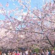 ヒメ日記 2026/04/05 17:12 投稿 斎藤　ひろみ プルプル人妻専門店