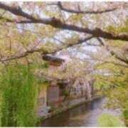 ヒメ日記 2026/04/19 12:00 投稿 斎藤　ひろみ プルプル人妻専門店