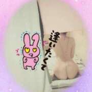 ヒメ日記 2026/05/18 15:01 投稿 斎藤　ひろみ プルプル人妻専門店