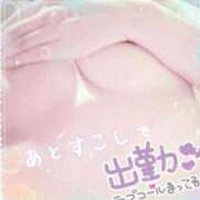 ヒメ日記 2026/05/23 12:09 投稿 斎藤　ひろみ プルプル人妻専門店