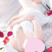 ヒメ日記 2024/12/15 02:48 投稿 寺岡 はるか こあくまな熟女たち 上野・御徒町店 (KOAKUMAグループ)