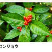 ヒメ日記 2024/12/17 17:06 投稿 山波幸 こあくまな熟女たち 上野・御徒町店 (KOAKUMAグループ)